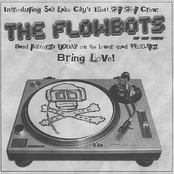 The Flowbots