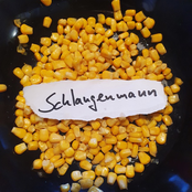 Schlangenmann