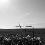 L'équilibre est nécessaire