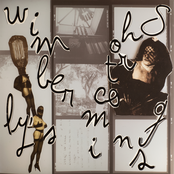 Wimberly's Shortcomings