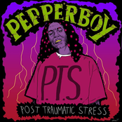 P.T.S. (Post Traumatic Stress)