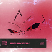 ANoyd: Majin Buu