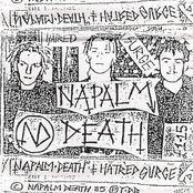 Cheswick Green (live) by Napalm Death