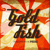 Goldfish: Perceptions Of Pacha