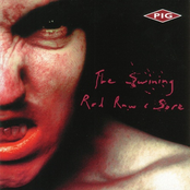 Pig: The Swining / Red Raw & Sore