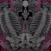 La Cinica Foresta Di Tetri Arbusti Deformi II