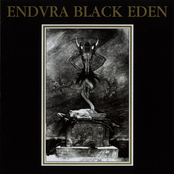 The Devils Stars Burn Cold by Endura