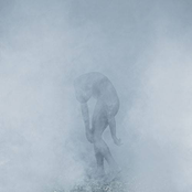 And We Got Lost In The Shadows