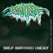 Discontent: Self Imposed Decay