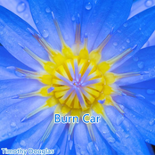 Burn Car