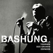 Cantique Des Cantiques by Alain Bashung