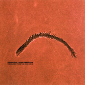 Treasures from the Dead Seas