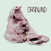 Drainland / Cellgraft
