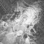 Falling In a Black Hole / Higher