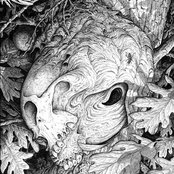 Orchard I: Solar Invocation