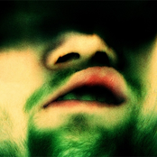 Probemitschnitt 2007