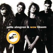 pelle almgren & wow liksom