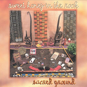 Sweet Honey In The Rock: Sacred Ground