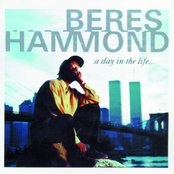 What About Joy by Beres Hammond