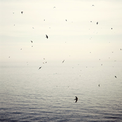 Your Naked Ghost Comes Back at Night