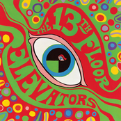 The Psychedelic Sounds Of The 13th Floor Elevators