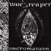 Necromanzee