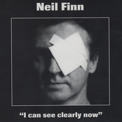 I Can See Clearly Now by Neil Finn