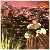 Shrimp Olympics: silk lizard