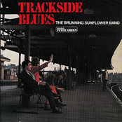 Trackside Blues Featuring Peter Green