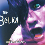 Seventeen by The Belka