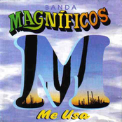 Vidas Iguais by Banda Magníficos