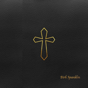 Brother Birk Spanklin : Biblical Distortions, Vol. 1