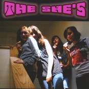 The She's: The She's