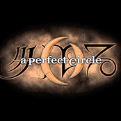 Eulogy by A Perfect Circle