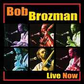 Mood Music For People In A Bad Mood by Bob Brozman