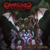 Hatred To All by Carrioned