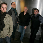 beecake