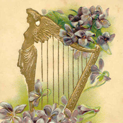 celtic harp