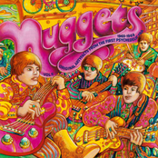Nuggets: Original Artyfacts From The First Psychedelic Era, Vol. 4