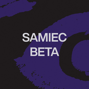 Samiec beta