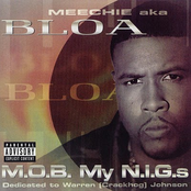 M.O.B. My N.I.G.S.