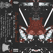 Her Wake / His Demise - EP