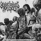 Delightful Demonstration of a Finished Putrefaction