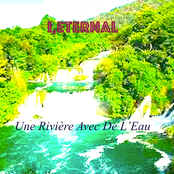 Une Rivière Avec De L'Eau