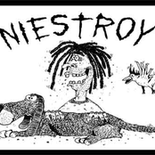 niestroy