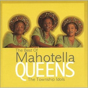 The Best Of / The Township Idols