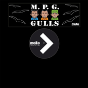 MPG: Gulls