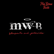 Blackouts and Polaroids Bonus Tracks