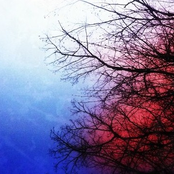 Slow Music For Rapid Eye Movement (Remix Disc)