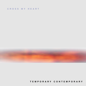 Temporary Contemporary